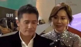 内娱大瓜爆料梁朝伟视频,内娱大瓜背后的真相揭秘