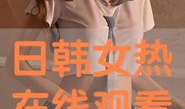 高清日韩视频在线观看,高清日韩视频在线观看指南