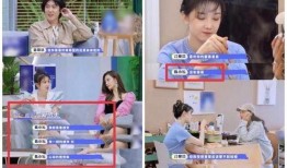 向左前女友爆料视频下载,下载背后的真相与争议