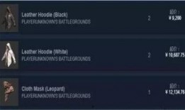 绝地求生饰品爆料视频大全,揭秘热门饰品大盘点