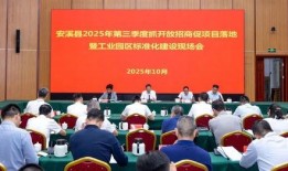 福建泉州安溪新闻爆料,泉州安溪最新爆料，聚焦热点事件