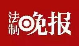闪闪最新爆料新闻网,闪闪最新爆料新闻网，独家内幕大公开！