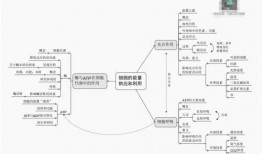 三少视频爆料大全,揭秘娱乐圈幕后真相