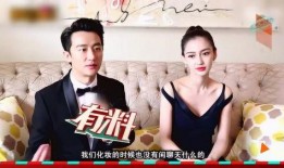 导演亲自爆料视频播放网站,视频播放网站背后的秘密大公开