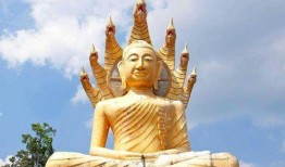 死即是空在线观看,死即是空深度解读