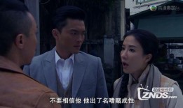 收规华国语版在线观看,穿越时空的奇幻之旅