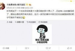 正经网友爆料视频大全集,正经网友爆料视频大全集深度解析