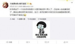 正经网友爆料视频大全集,正经网友爆料视频大全集深度解析